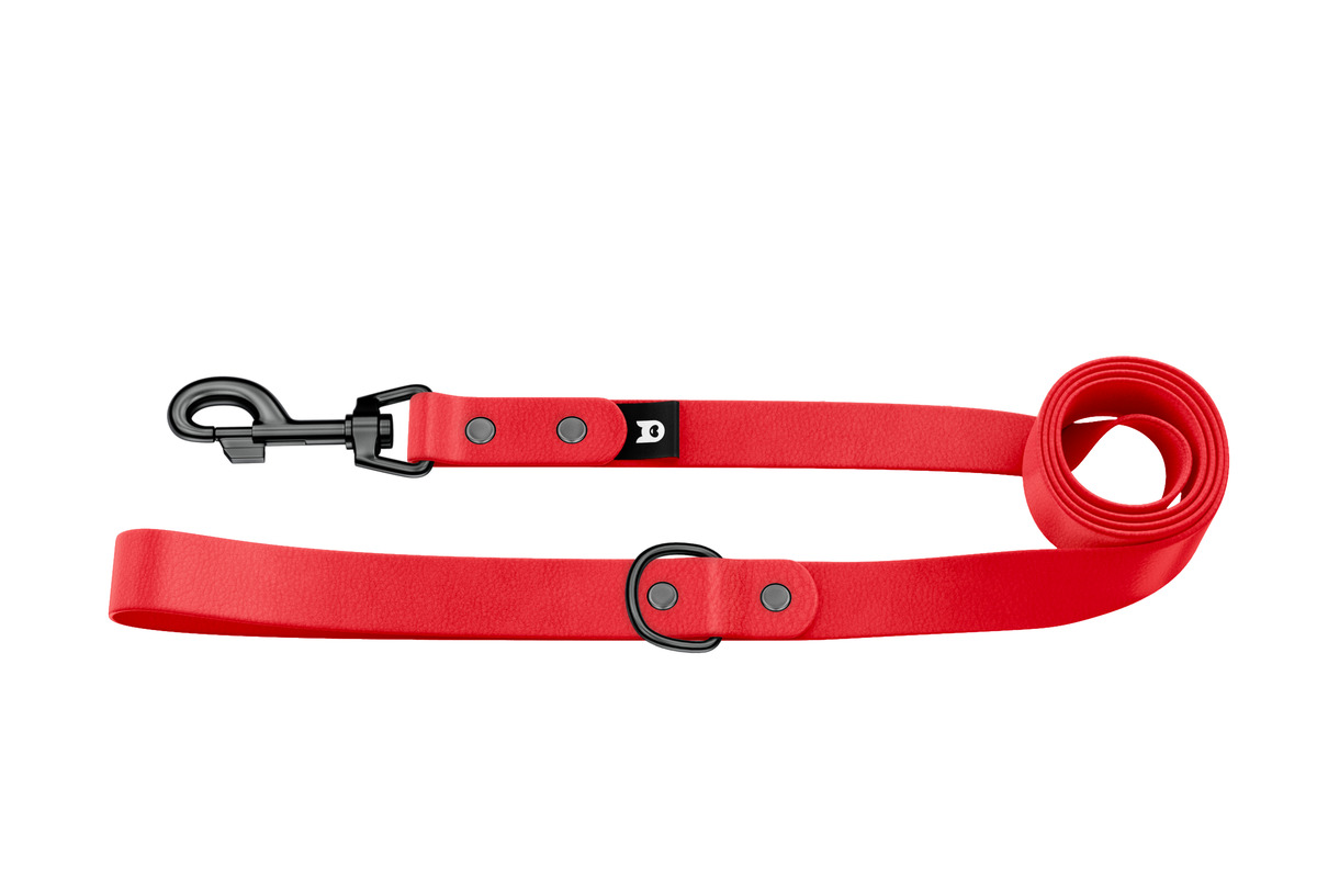 Red dog lead and clearance collar