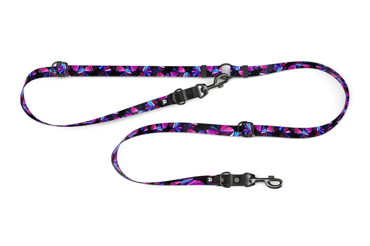 8-in-1 hands free dog leash Cross Prism