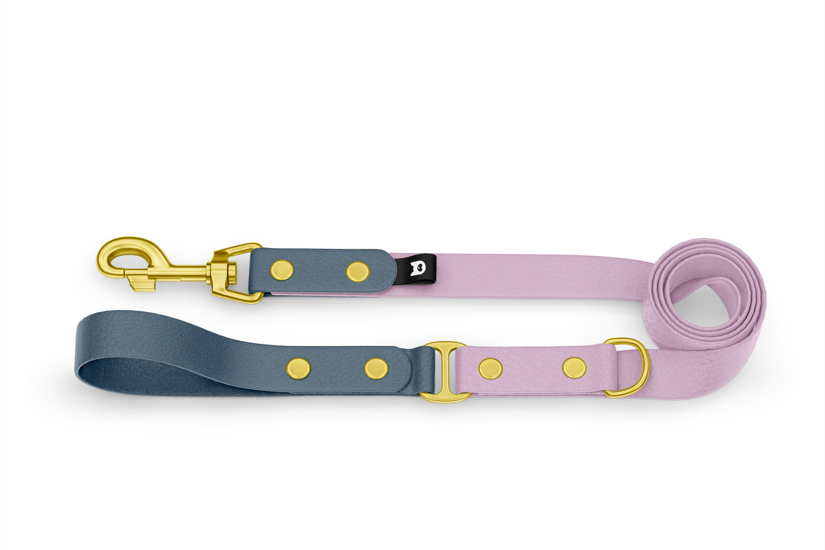 duo dog leash