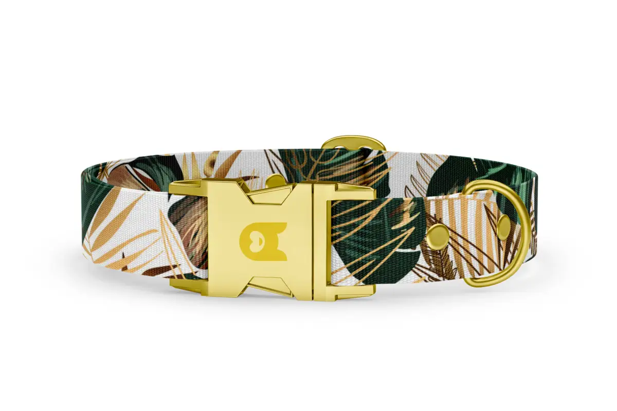 Dog collar Basic Collection Leaf