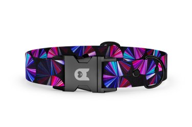 Dog collar Basic Collection Prism