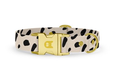 Dog collar Basic Collection Spots