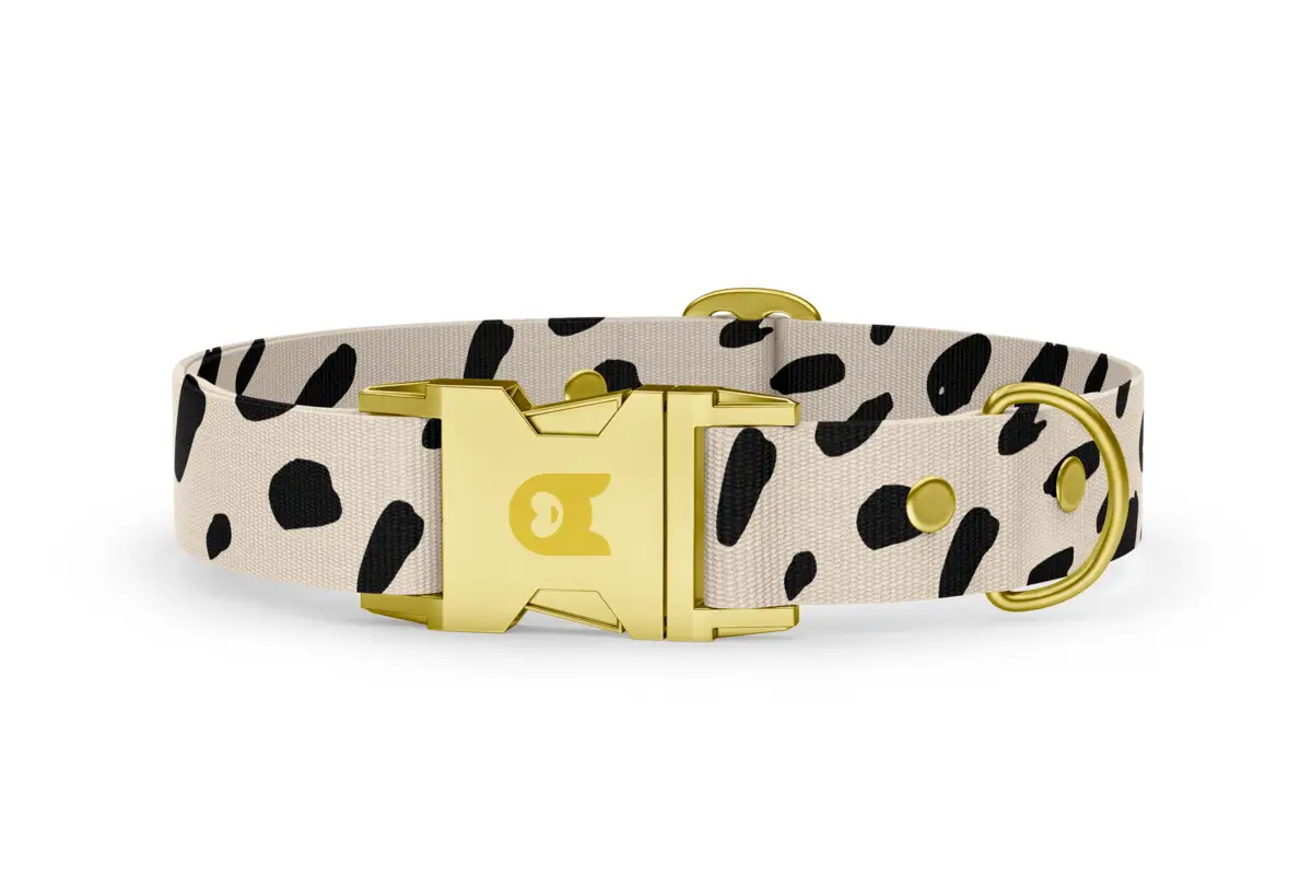 Dog collar Basic Collection Spots