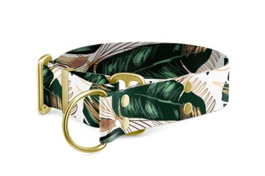 Martingale dog collar Collection Leaf