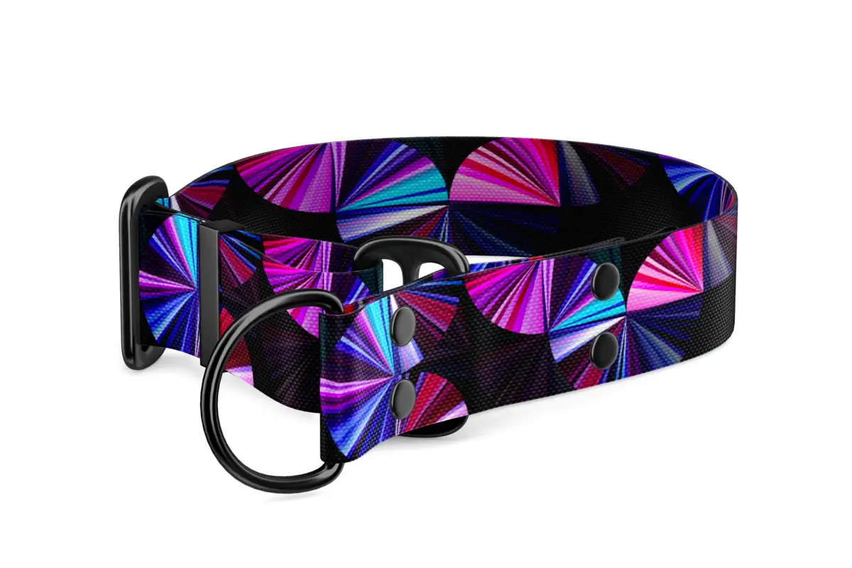 Martingale dog collar Collection Prism