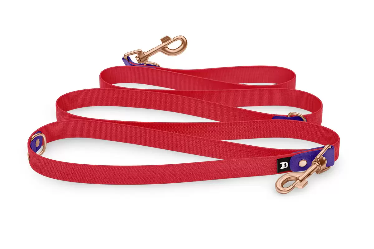 Dog Leash Reduce: Purple & Red with Rosegold components